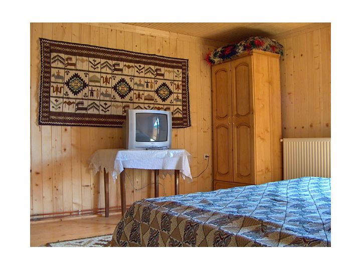 Pensiunea Fratii Pasca, Barsana - imaginea 