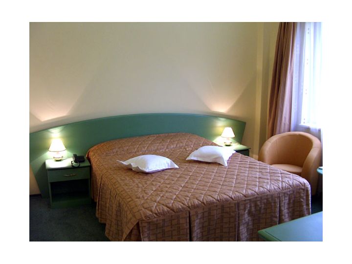 Hotel Best Western Eurohotel, Baia Mare - imaginea 