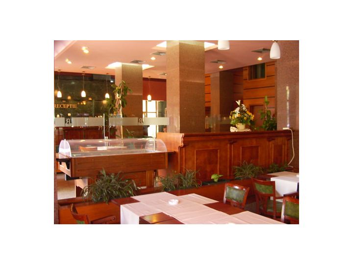 Hotel Rivulus, Baia Mare - imaginea 