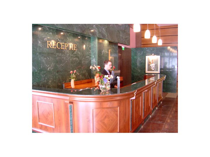 Hotel Rivulus, Baia Mare - imaginea 