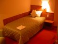 Hotel Rivulus, Baia Mare - thumb 4