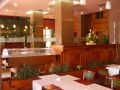 Hotel Rivulus, Baia Mare - thumb 8