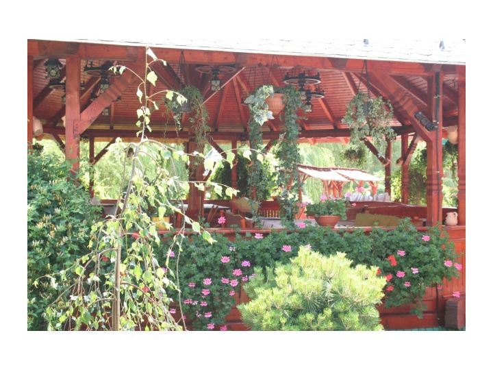 Hotel Carpati, Baia Mare - imaginea 