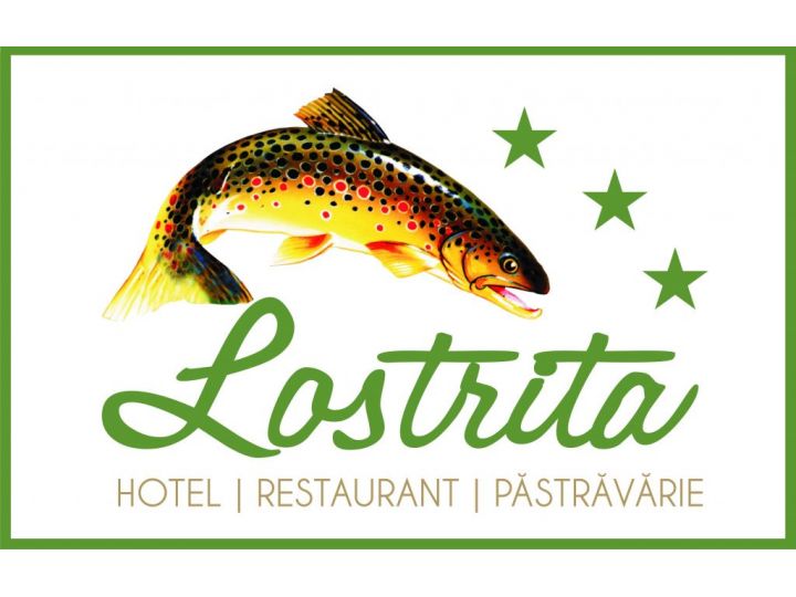 Hotel Complex Lostrita, Baia Mare - imaginea