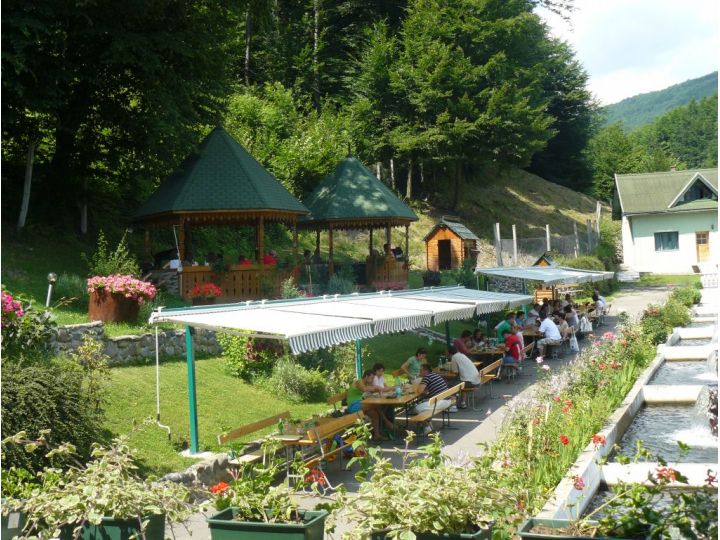Hotel Complex Lostrita, Baia Mare - imaginea