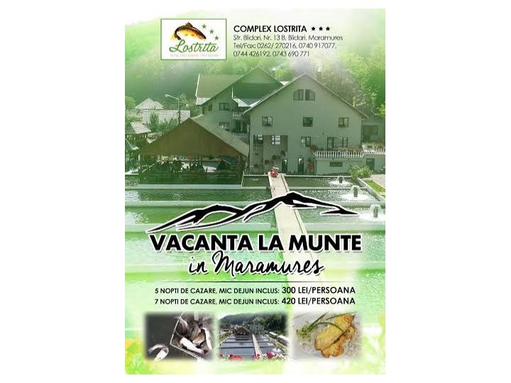 Hotel Complex Lostrita, Baia Mare - imaginea