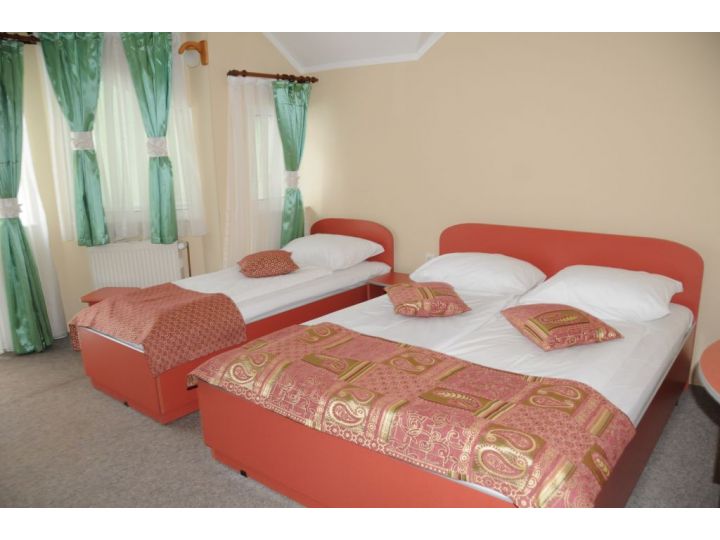 Hotel Complex Lostrita, Baia Mare - imaginea