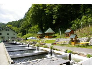 Hotel Complex Lostrita, Baia Mare - 3