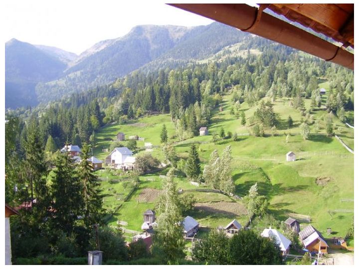 Hotel Cerbul, Borsa - imaginea 