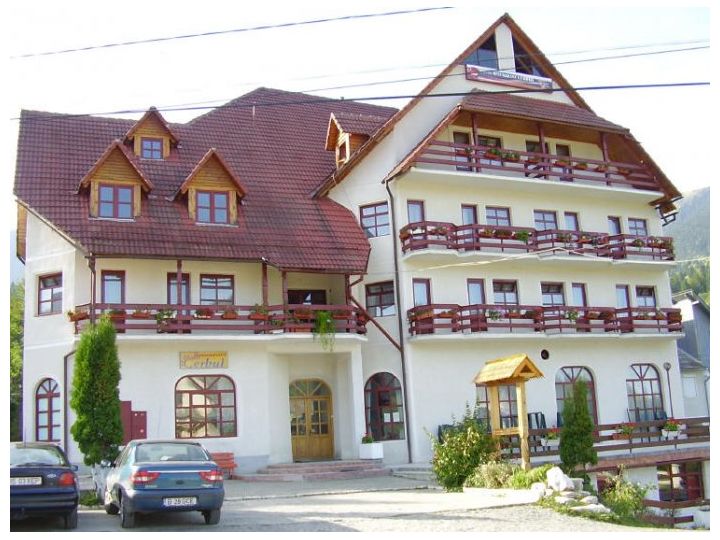 Hotel Cerbul, Borsa - imaginea 