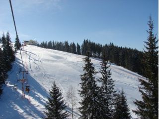 Pensiunea Cabana Telescaun, Vatra Dornei - 4