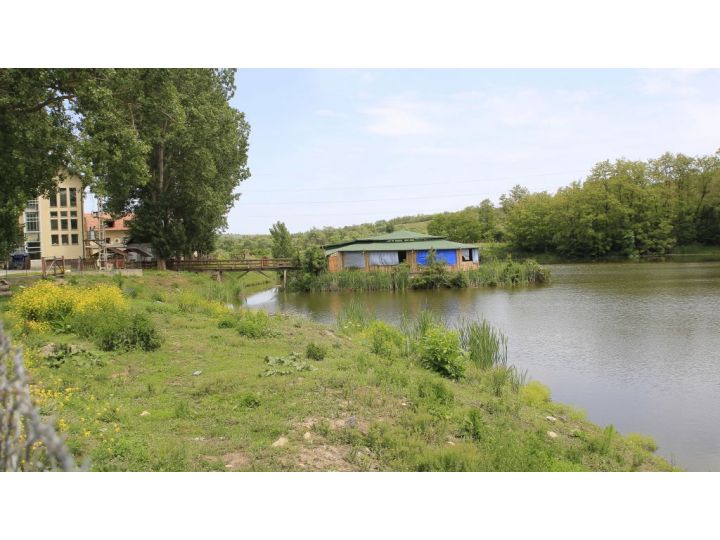 Hotel Dumbrava, Rupea - imaginea 
