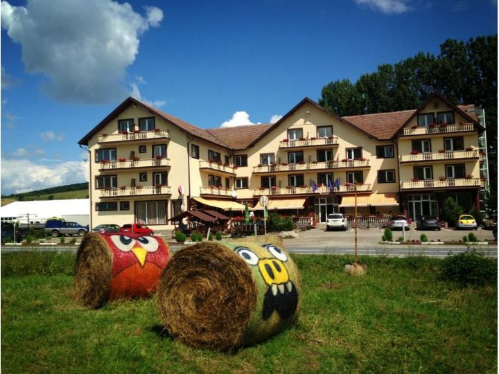 Hotel Dumbrava, Rupea - imaginea 