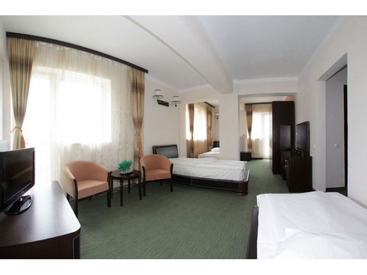 Hotel Dumbrava, Rupea - imaginea 