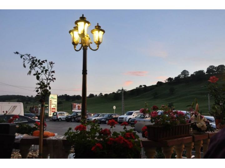 Hotel Dumbrava, Rupea - imaginea 