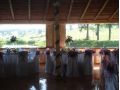 Hotel Dumbrava, Rupea - thumb 41