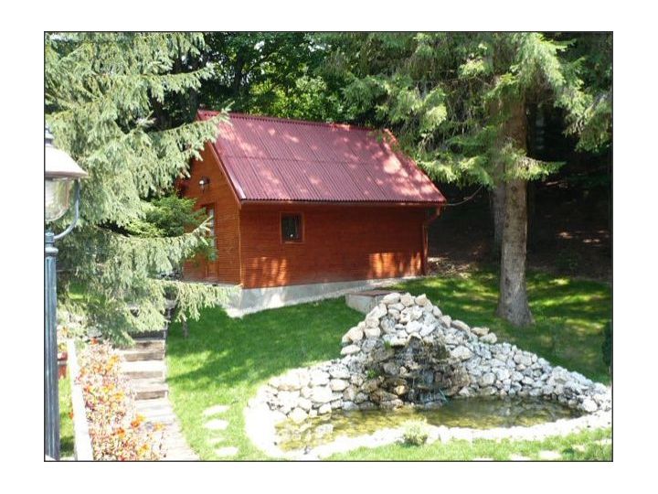 Vila Dream Slalom, Poiana Brasov - imaginea 