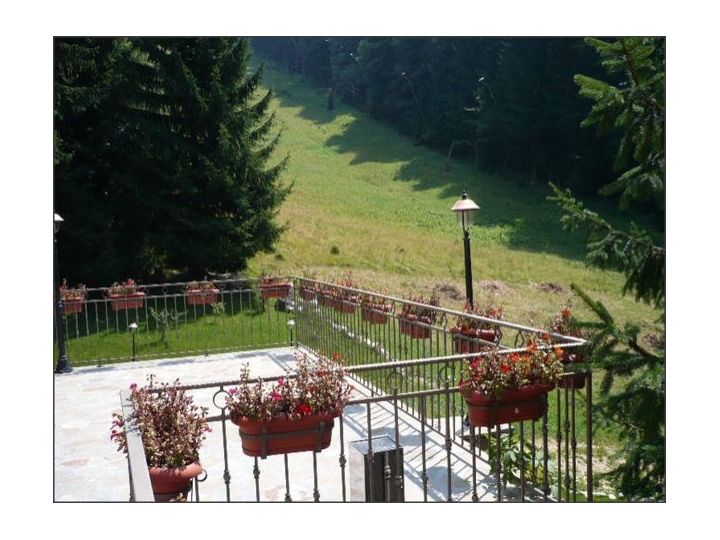 Vila Dream Slalom, Poiana Brasov - imaginea 