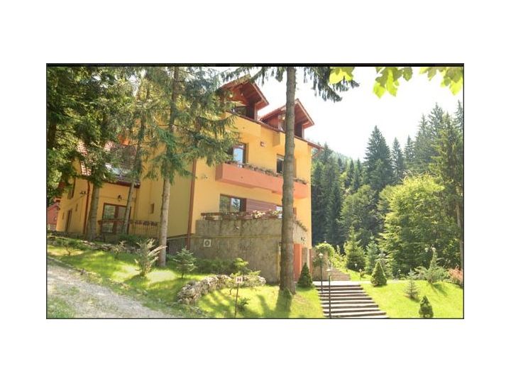 Vila Dream Slalom, Poiana Brasov - imaginea 