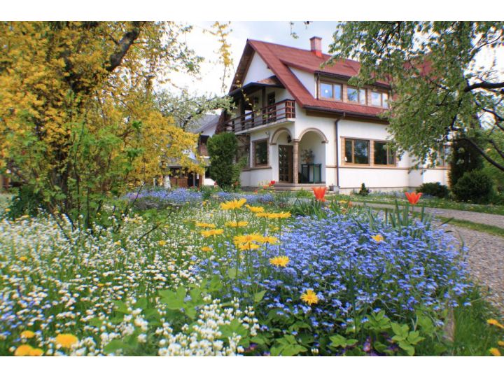 Pensiunea Hilde`s Residence, Gura Humorului - imaginea 
