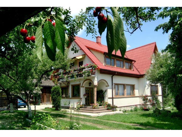 Pensiunea Hilde`s Residence, Gura Humorului - imaginea 