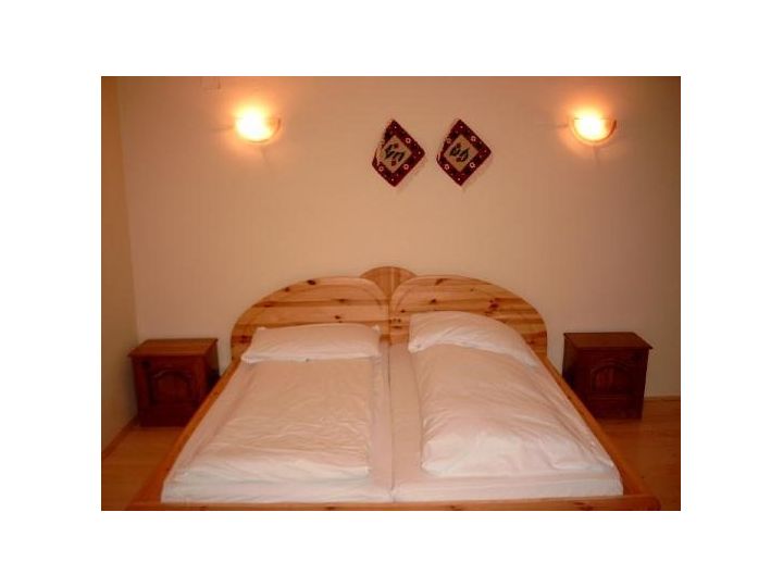 Pensiunea Bassen Pension, Bazna - imaginea 