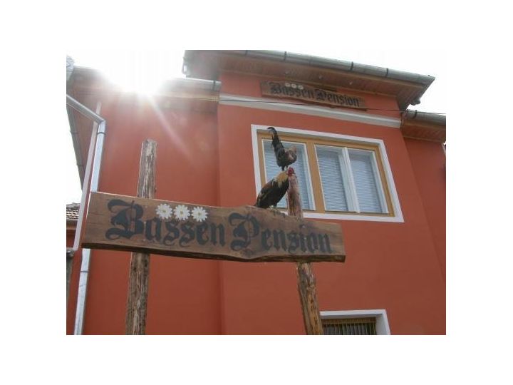 Pensiunea Bassen Pension, Bazna - imaginea 
