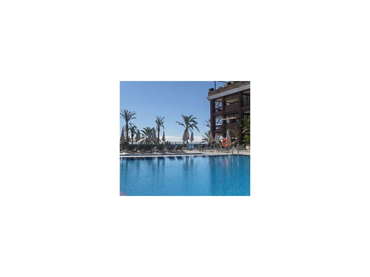 Hotel Gran Hotel Guadalpin Banus, Malaga - imaginea 