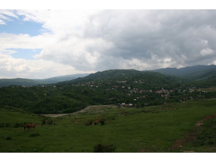 Vila Satul Prunilor, Pietrosita - imaginea 