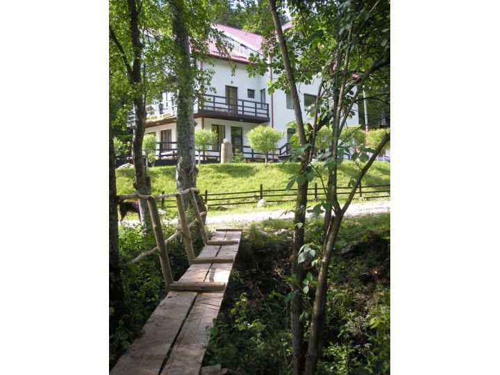 Pensiunea Verde-Crud, Rasnov - imaginea 