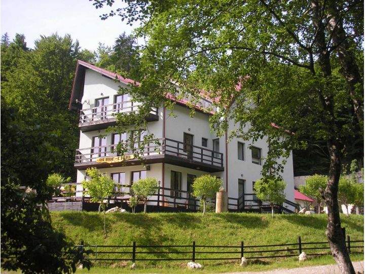 Pensiunea Verde-Crud, Rasnov - imaginea 