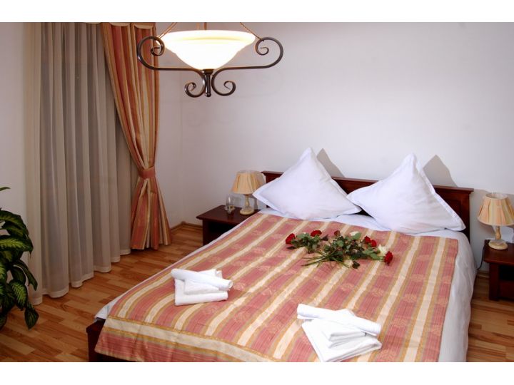 Pensiunea Balad`Or, Bicaz - imaginea 