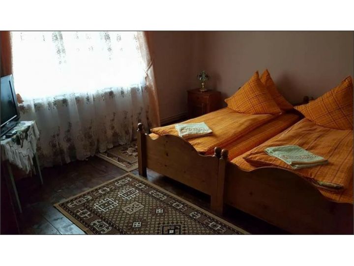 Pensiunea Lenuta, Poienile Izei - imaginea 