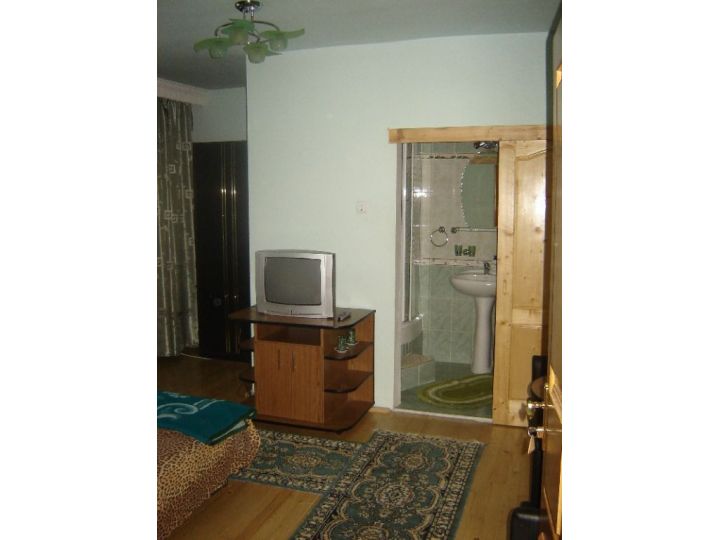 Pensiunea Aurica, Targu Lapus - imaginea 
