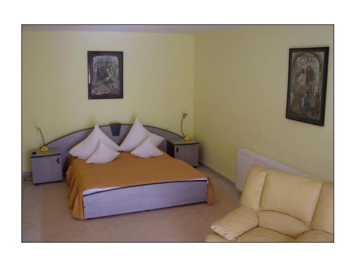 Hotel Meridian, Orsova - imaginea