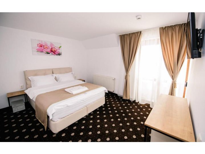 Pensiunea Antonia Spa, Ranca - imaginea 