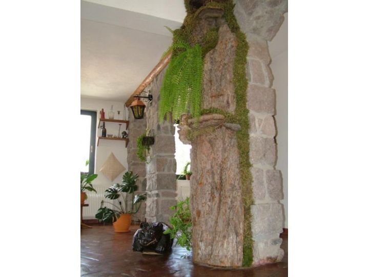 Hotel Fortuna, Baile Tusnad - imaginea 