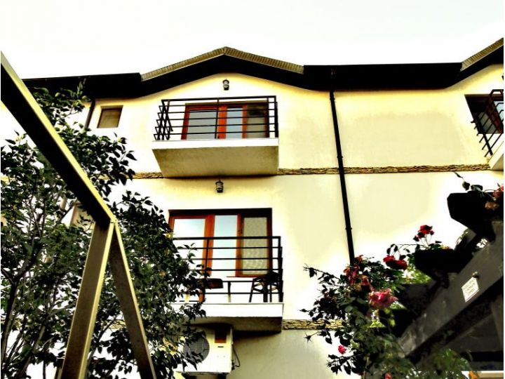 Pensiunea Vita de Vie, Costinesti - imaginea