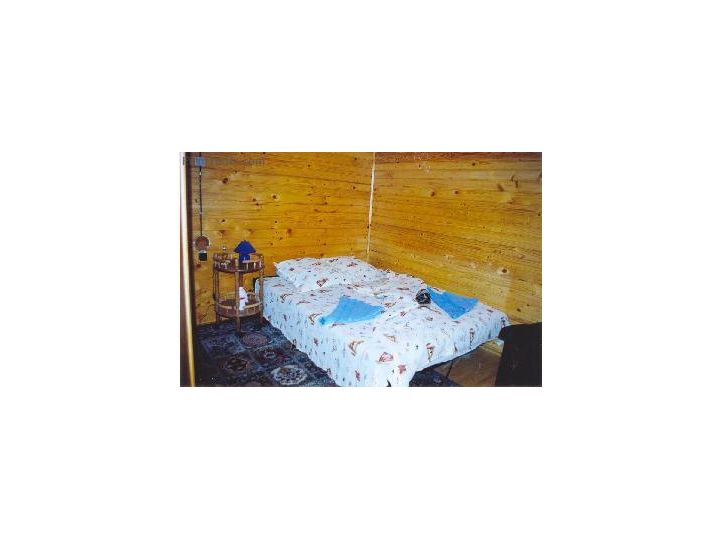 Pensiunea Cerbul, Slanic Moldova - imaginea 