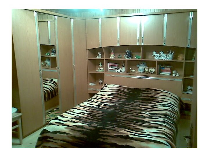 Pensiunea Casa Eugen, Arges - imaginea