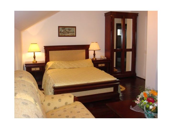 Pensiunea Casa Domneasca, Curtea de Arges - imaginea 