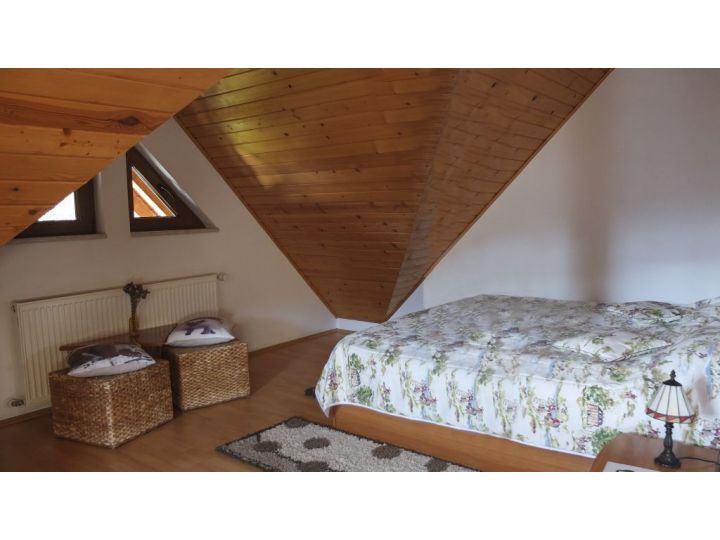 Vila Cascada, Poiana Tapului - imaginea 