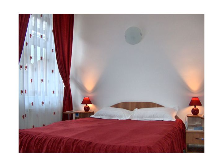 Vila Royal, Sighetu Marmatiei - imaginea 
