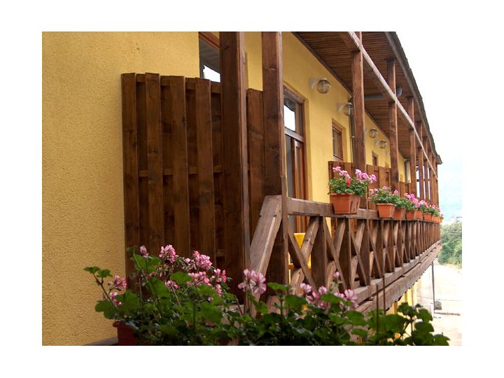 Vila Royal, Sighetu Marmatiei - imaginea 
