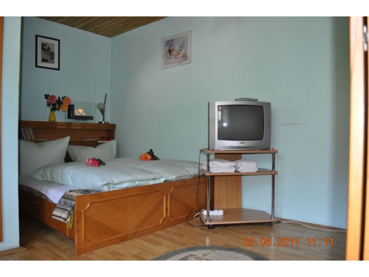 Vila Anghelina, Baile Herculane - imaginea 