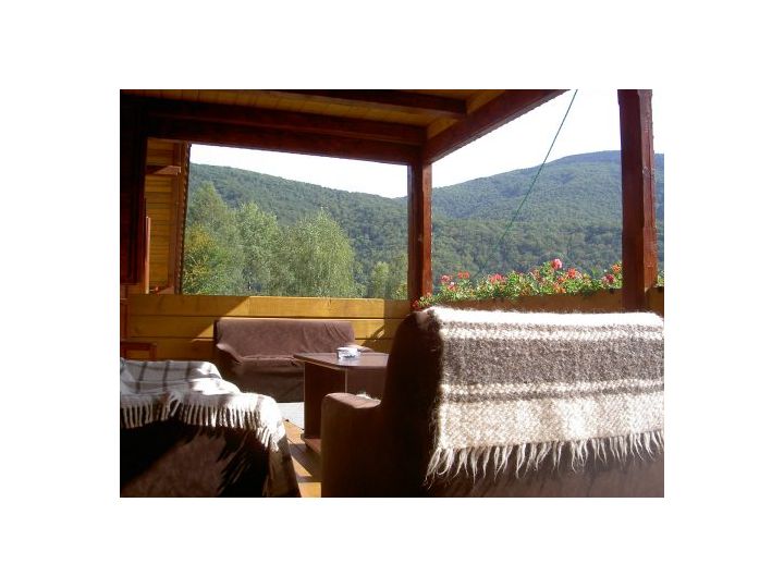 Pensiunea Vila Dor, Poiana Marului - imaginea 
