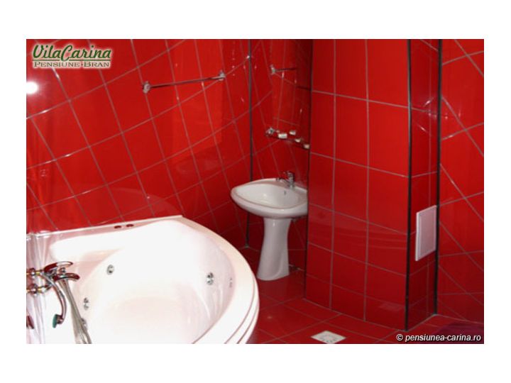 Vila Carina, Bran - imaginea 