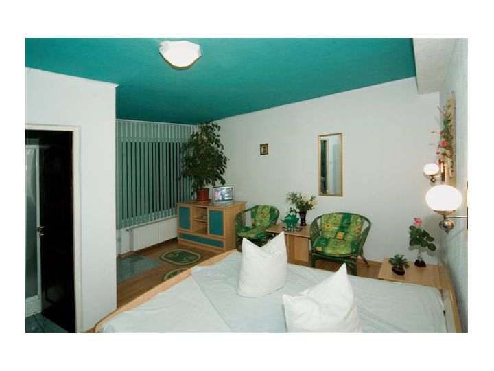 Vila Carina, Bran - imaginea 