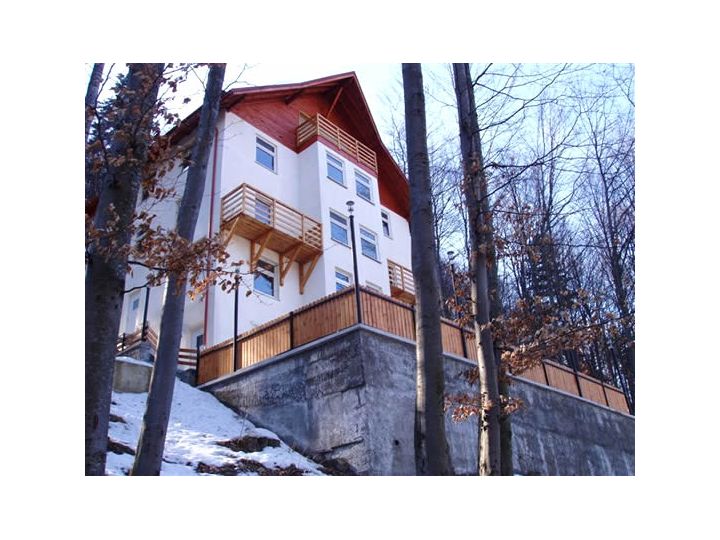 Vila Paris, Sinaia - imaginea 