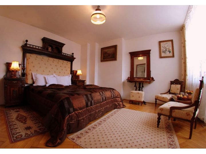 Vila Escala Villa, Cluj-Napoca - imaginea